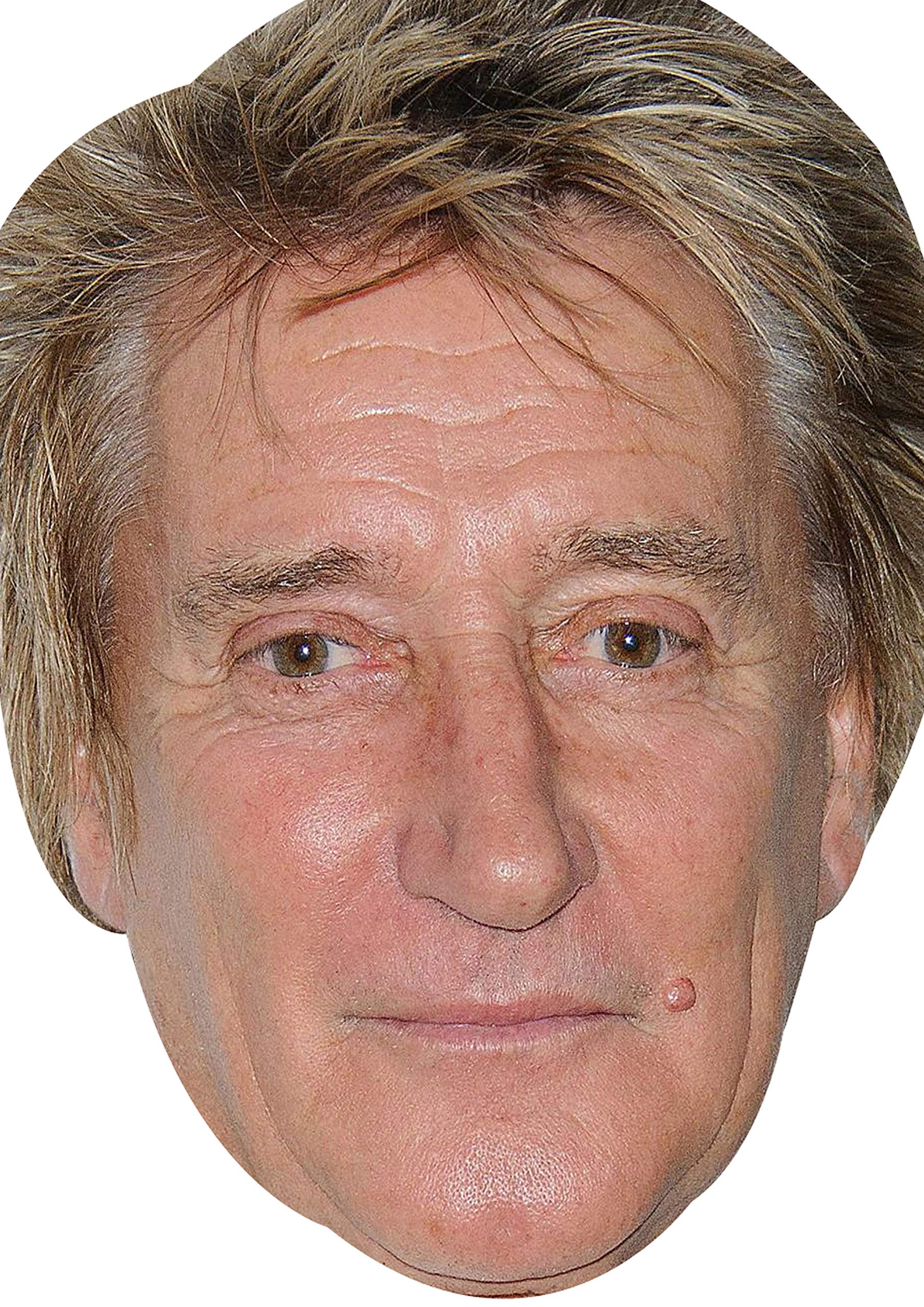 FoxyPrinting Rod Stewart Celebrity Cardboard Party Face Mask Fancy Dress
