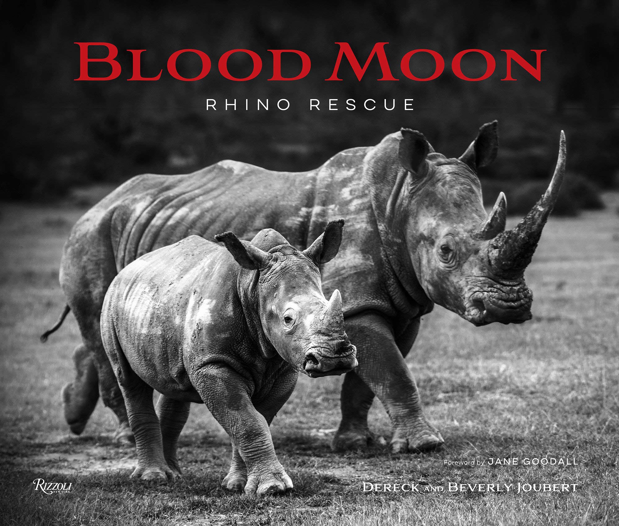 Rizzoli Blood Moon: Rescuing the Rhino