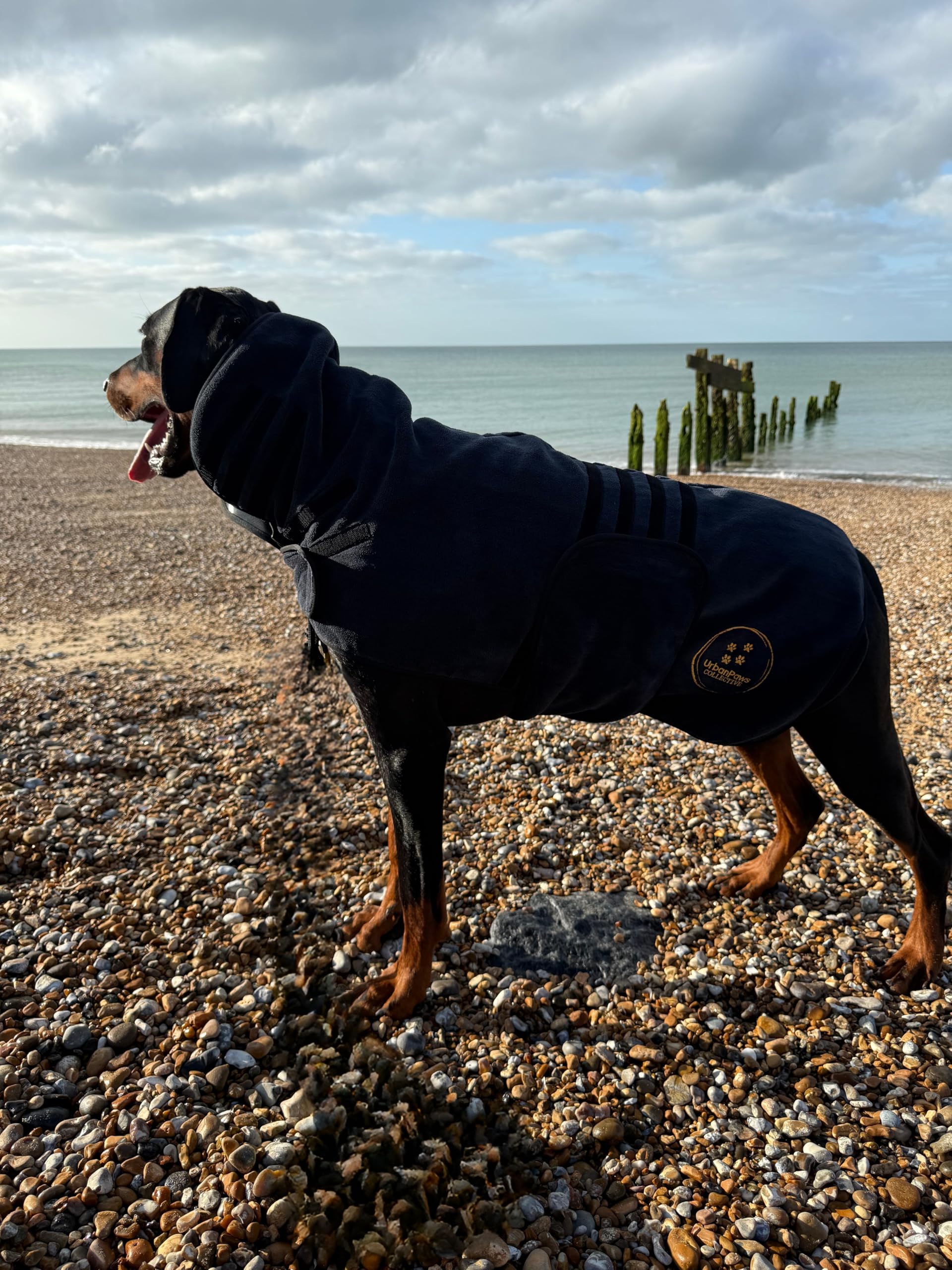 Urban Paws Collective® Luxury Dog Drying Coat, Drying Robe, Ultra Absorbent Microfibre Dog Bathrobe, Quick Dry, Covers Ears - Image 4