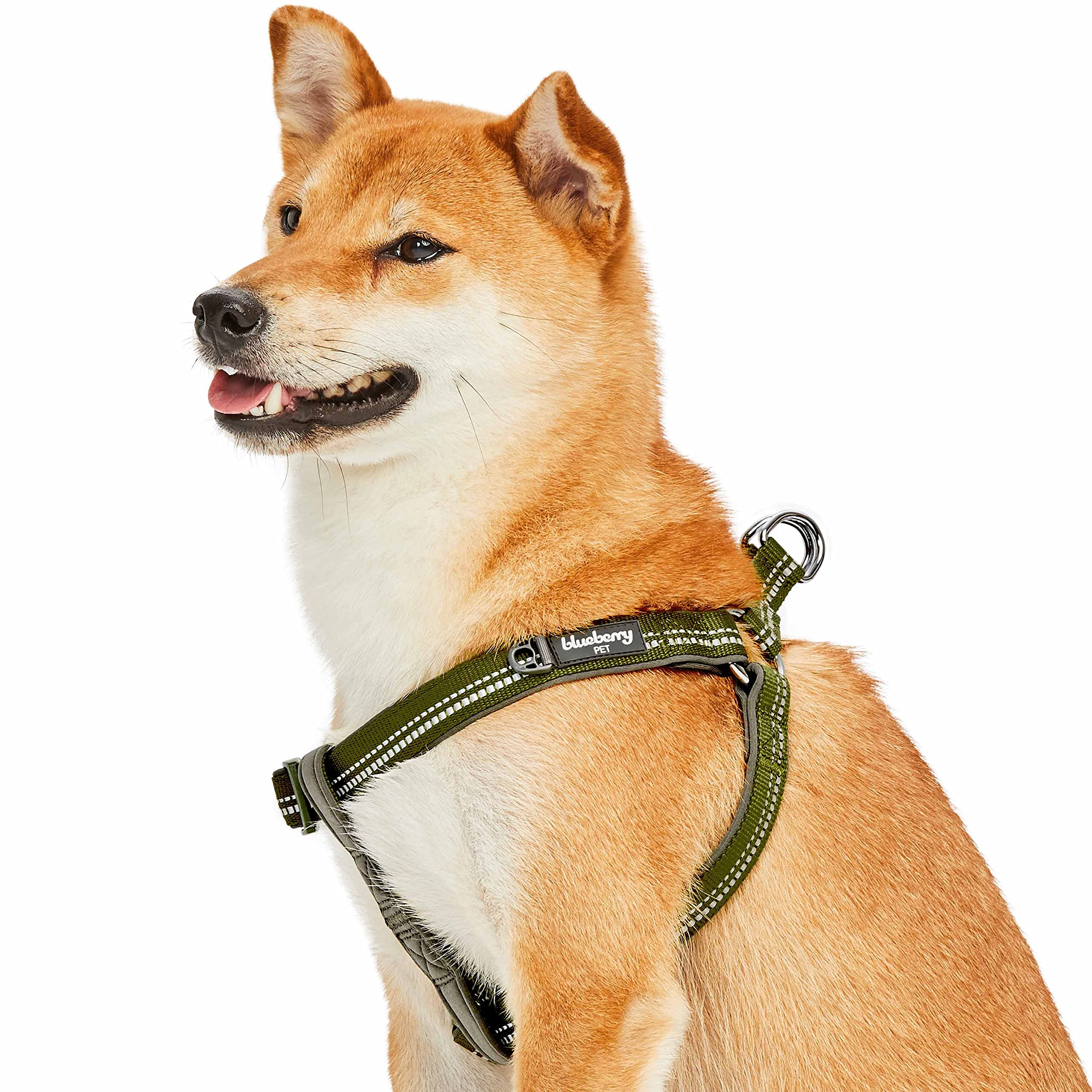 Harnais chien anti irritation Blueberry Pet M réglable rembourré vert olive