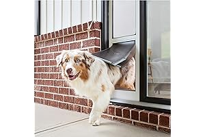 PetSafe Insulated Sliding Glass Pet Doggy Door Insert (Large: Fits Sliding Glass...