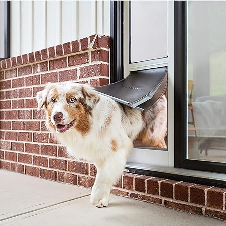 outdoor dog door