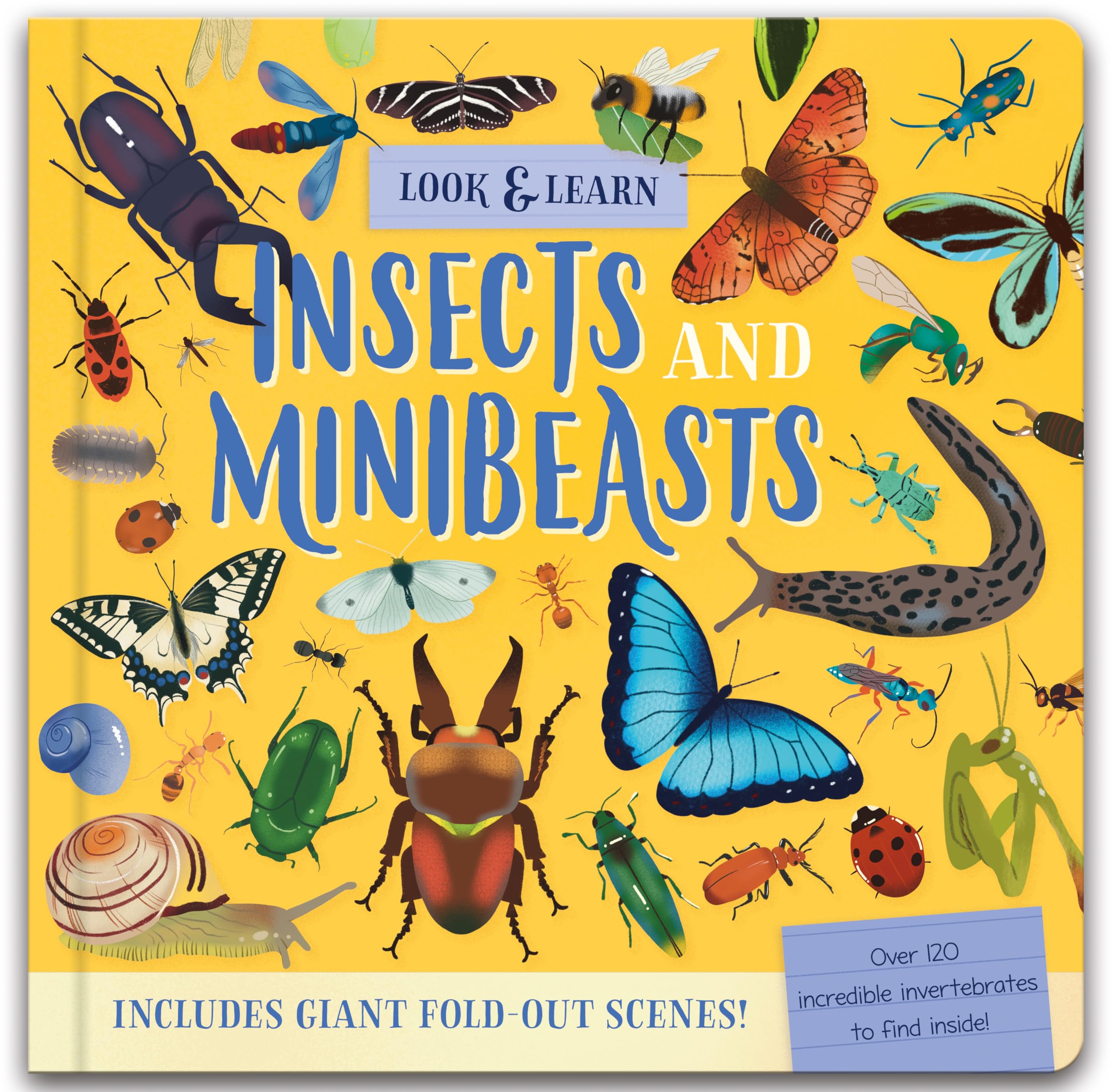 Look and Find Fold-Out Board Book - Insects and Minibeasts - Perfect for Children Aged 3 Years Upward (Nature Look & Find Board Books)