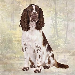Springer Spaniel Absorbent Stone Coaster - Cork Back helps prevent scratches on furniture - No more Water rings on Furniture
