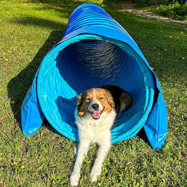 Foto 4 de 8 de Callieway® Dog Agility Tunnel - Túnel de agilidad para perros (incluye sacos de arena incluidos), color azul…
