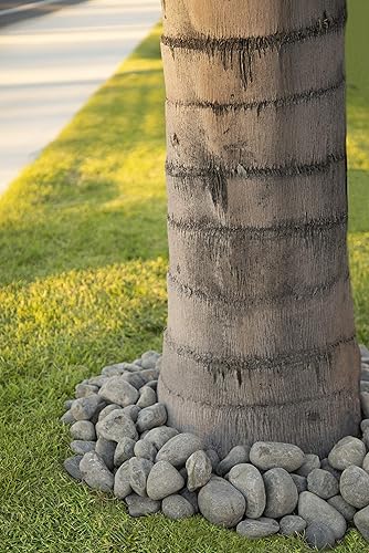 Vista 25 de MSI Guijarros multicolor pulidos decorativos, 1.2 pulgadas - 2 pulgadas, bolsa de 40 libras