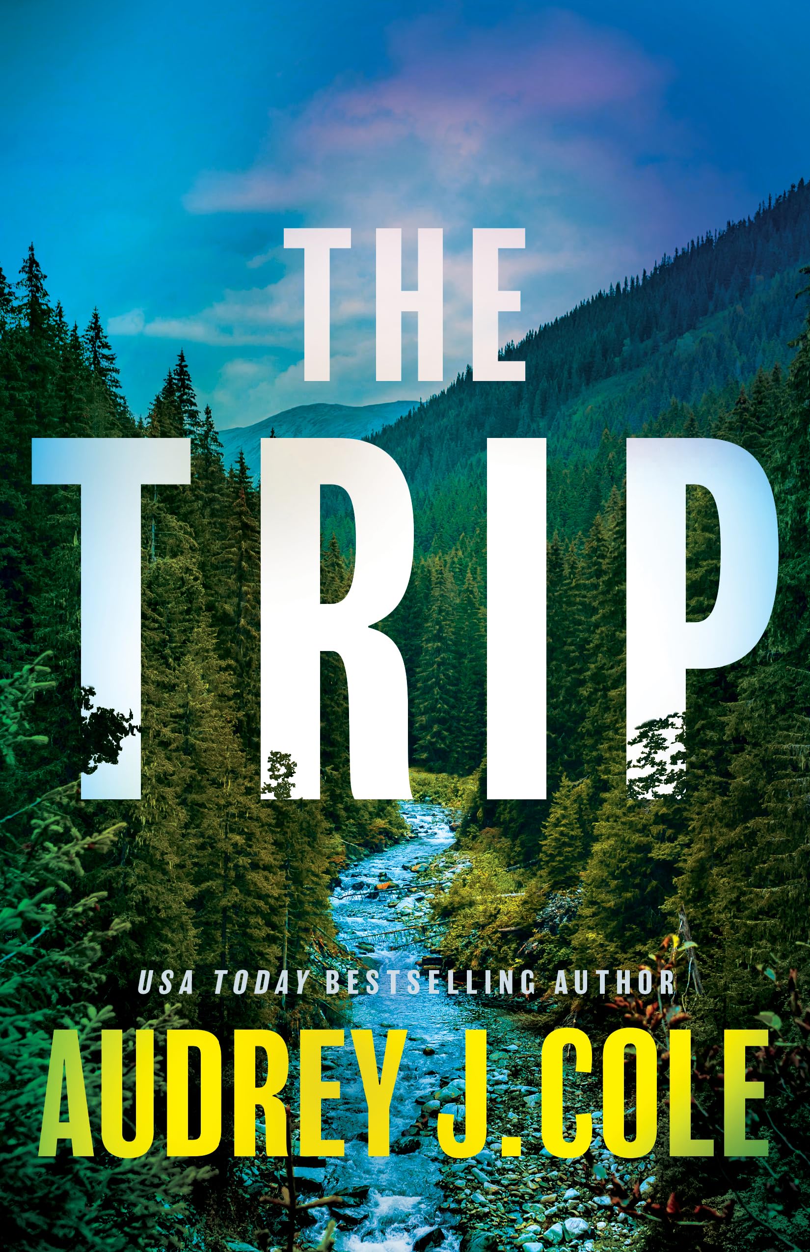 The Trip