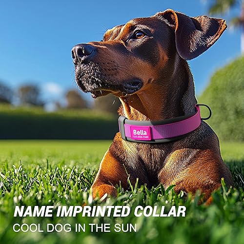 Miniatura 2 de Personalized Dog Collar with Name & Phone Number - Durable Buckle, Ultra-Visible Fully Reflective, and Wide Comfort-Fit Padded Neoprene for Small