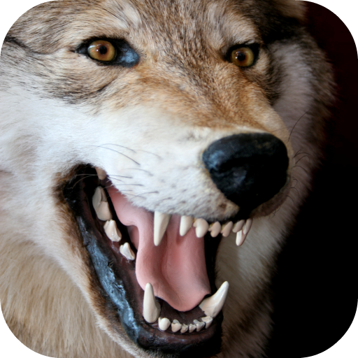 Predator for Android