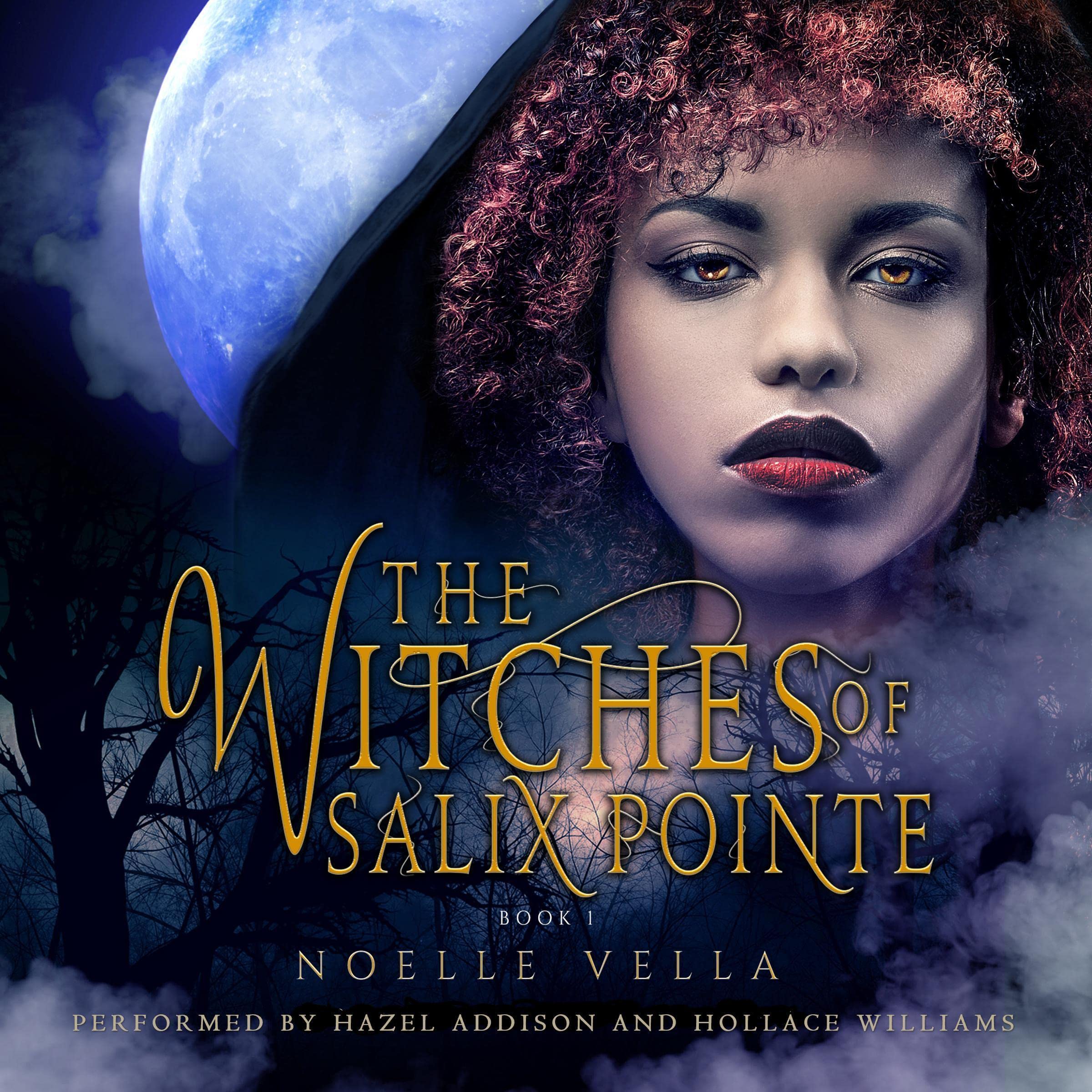 Cover art for The Witches of Salix Pointe
