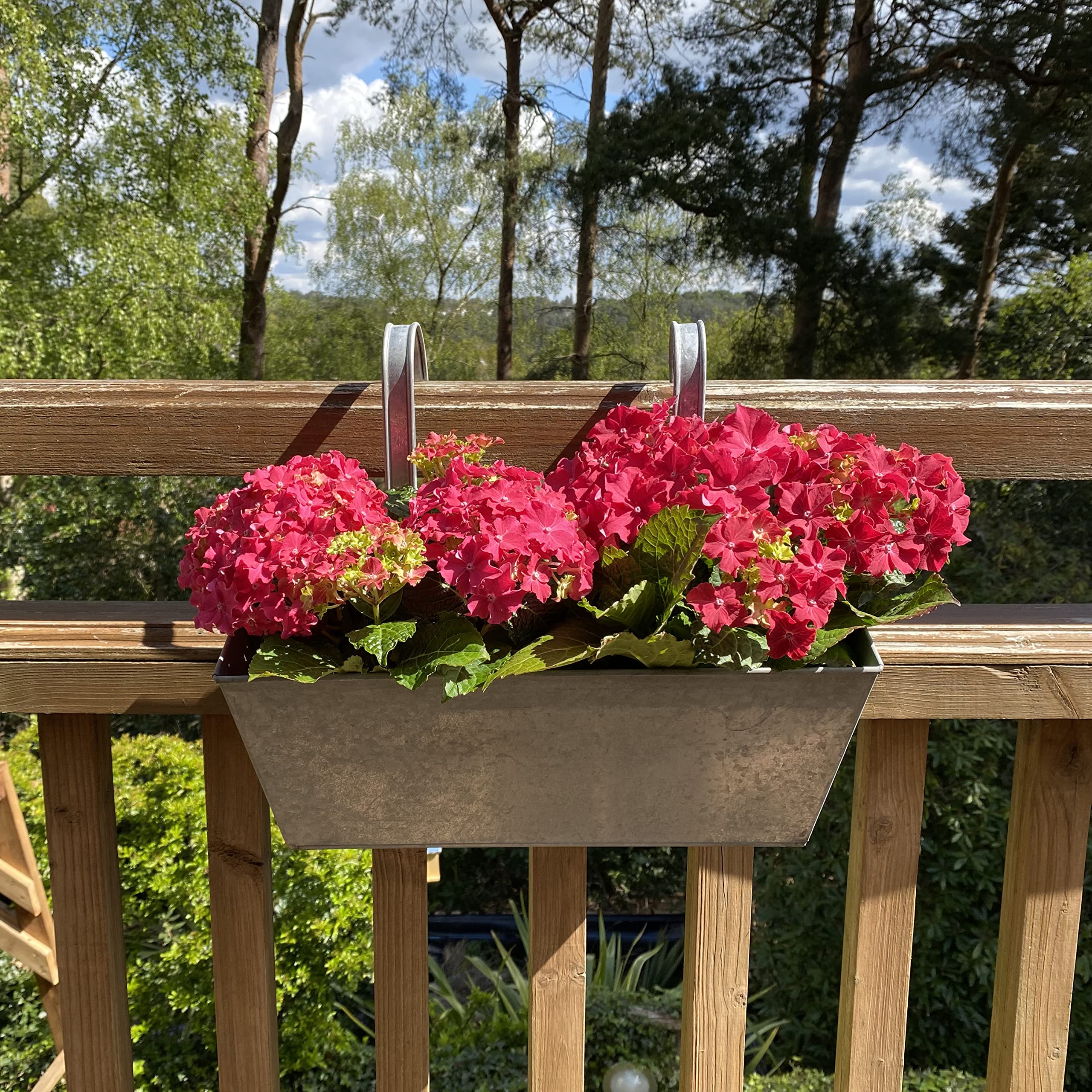 View 7