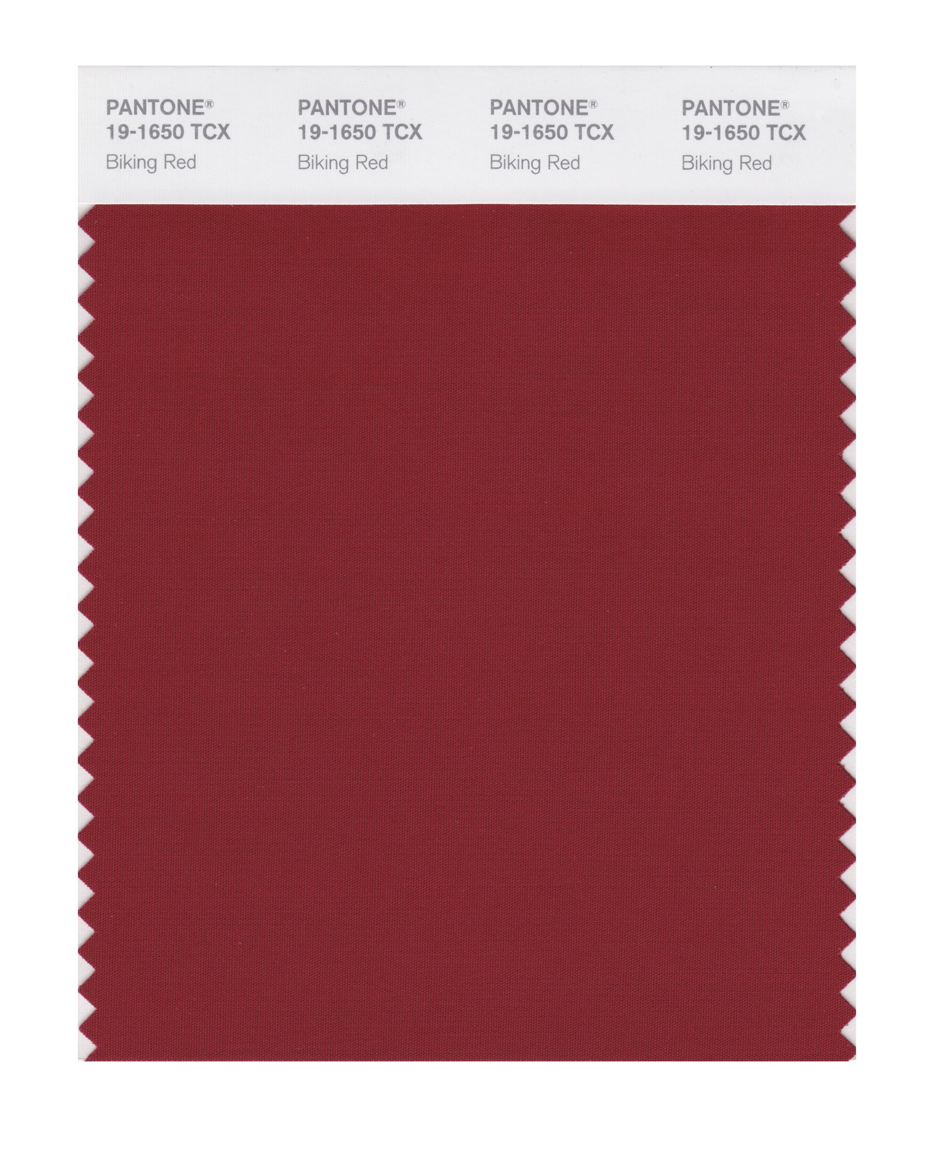 bleder様　10点　6-60 原色 PANTONE Smart 19-1650X Color Swatch Card, Biking Red - House