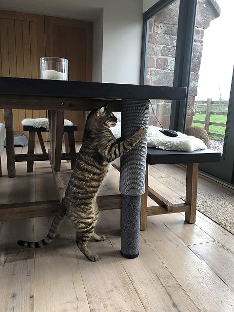 Foto 5 de 7 de Rosewood Rascador para Gatos Totalmente Ajustable con Juguete para Gatos y Gatitos en Interiores y Exteriores