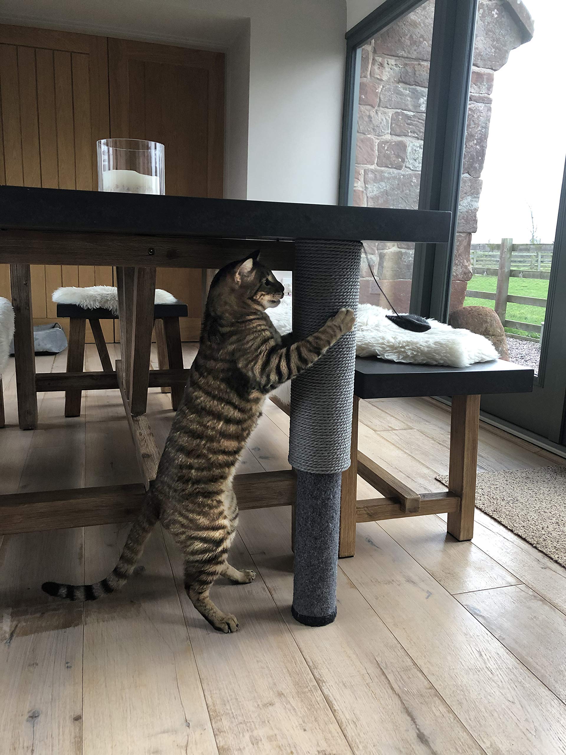 Rosewood Palissandro tiragraffi per Gatti Completamente Regolabile con Allegato Giocattolo per Gatti e Gattini Interni ed Esterni, Doppia Superficie, Taglia Unica