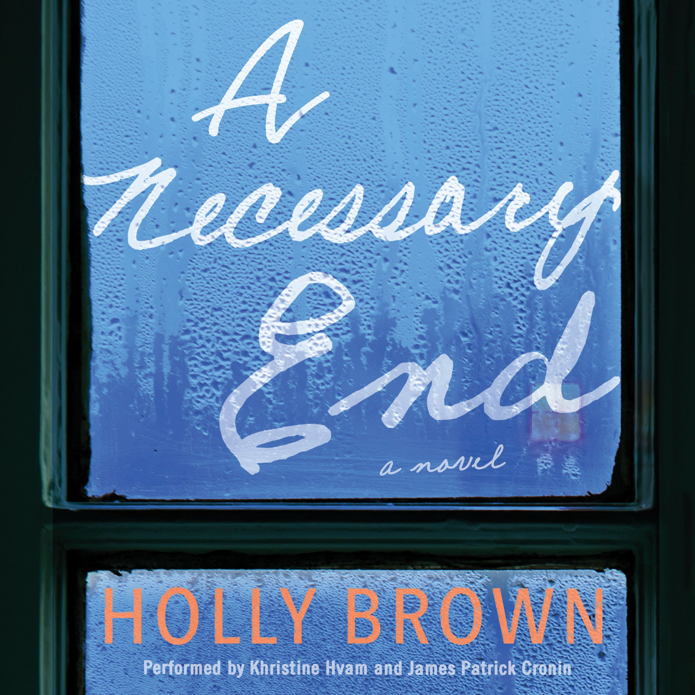 Cover art for A Necessary End