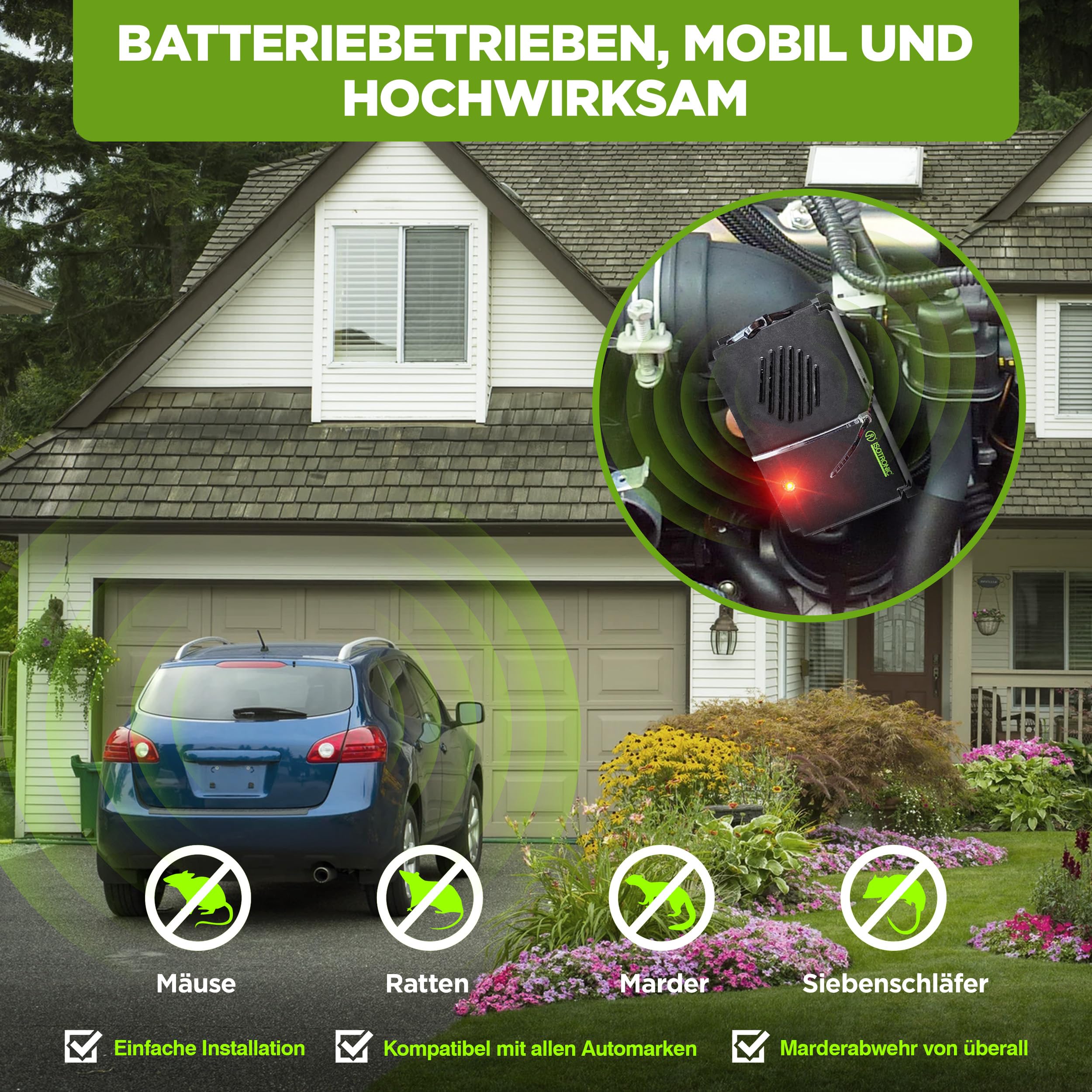 Isotronic – Smarten-free Mobile