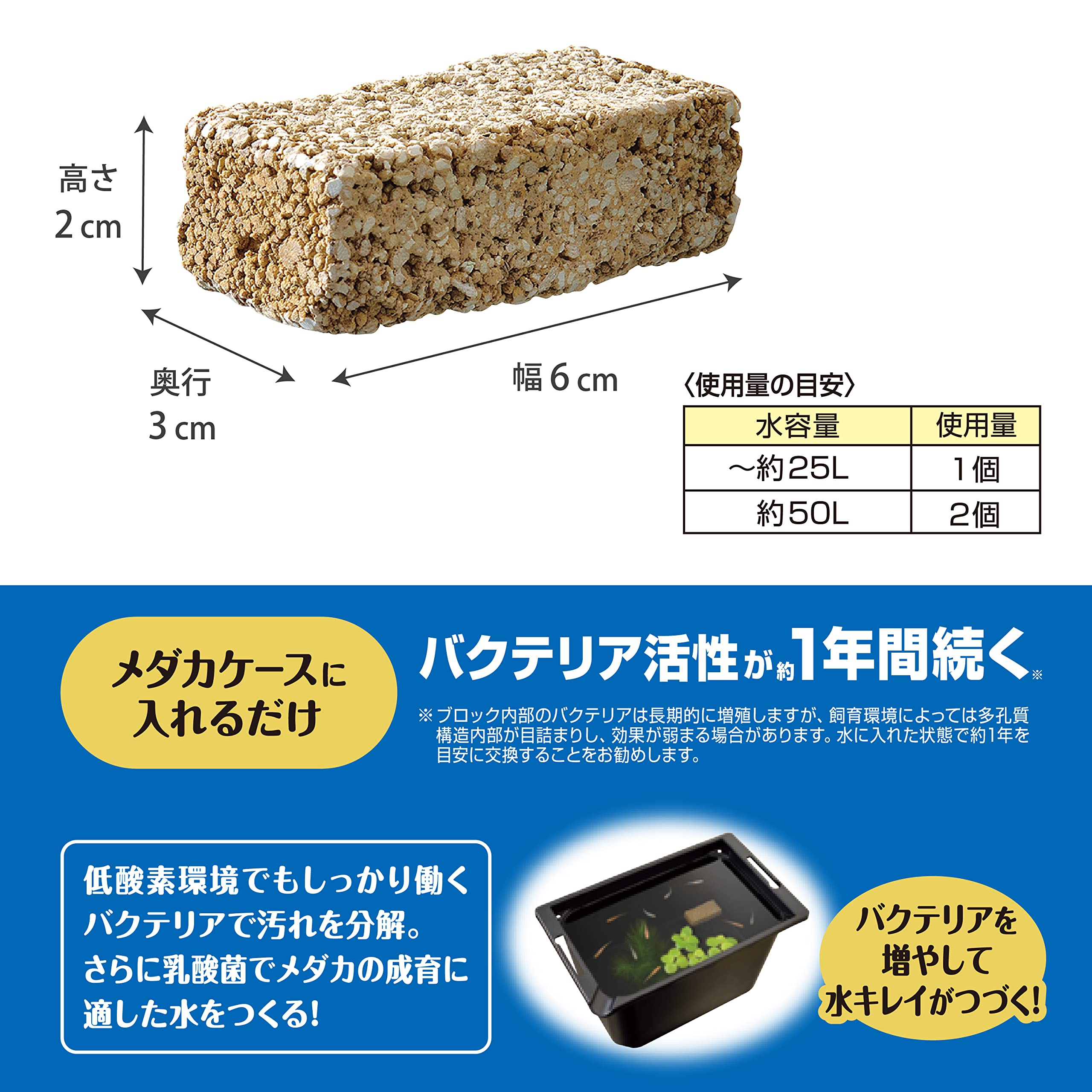小物 bio センシティブ：角小物入れ 蓋付き (M) | 蓋物 | Sghr