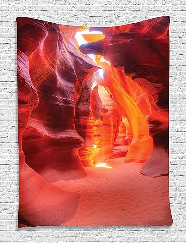 Miniatura 65 de Ambesonne Tapiz de naturaleza, silueta de oso salvaje en el bosque de la selva en la noche oscura, ilustración para colgar en la pared para Verde