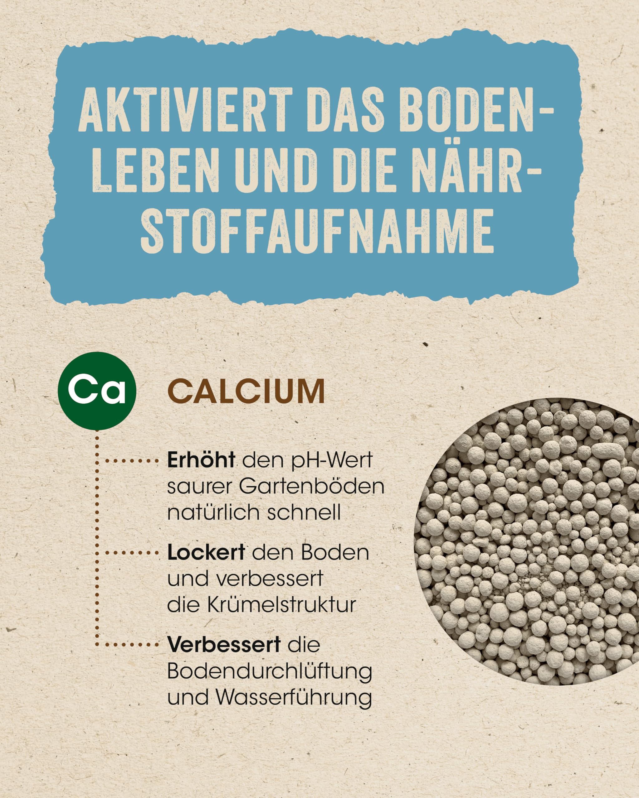 Allflor Nordweissperle Gartenkalk 6 x 20 Kg I Kalk für Gärten im 20kg Beutel I Sofort wirksamer und hochlöslicher Garten- sowie Rasenkalk I Neutralisiert schädliche Säuren
