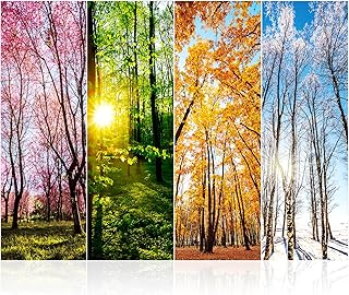 4 Pieces 36 x 12 Inches School Locker Magnetic Wallpaper Removable Magnetic Locker Accessory Kit Easy Install Decoration Sticker for Office University First Day of School Decor(Forest Style)