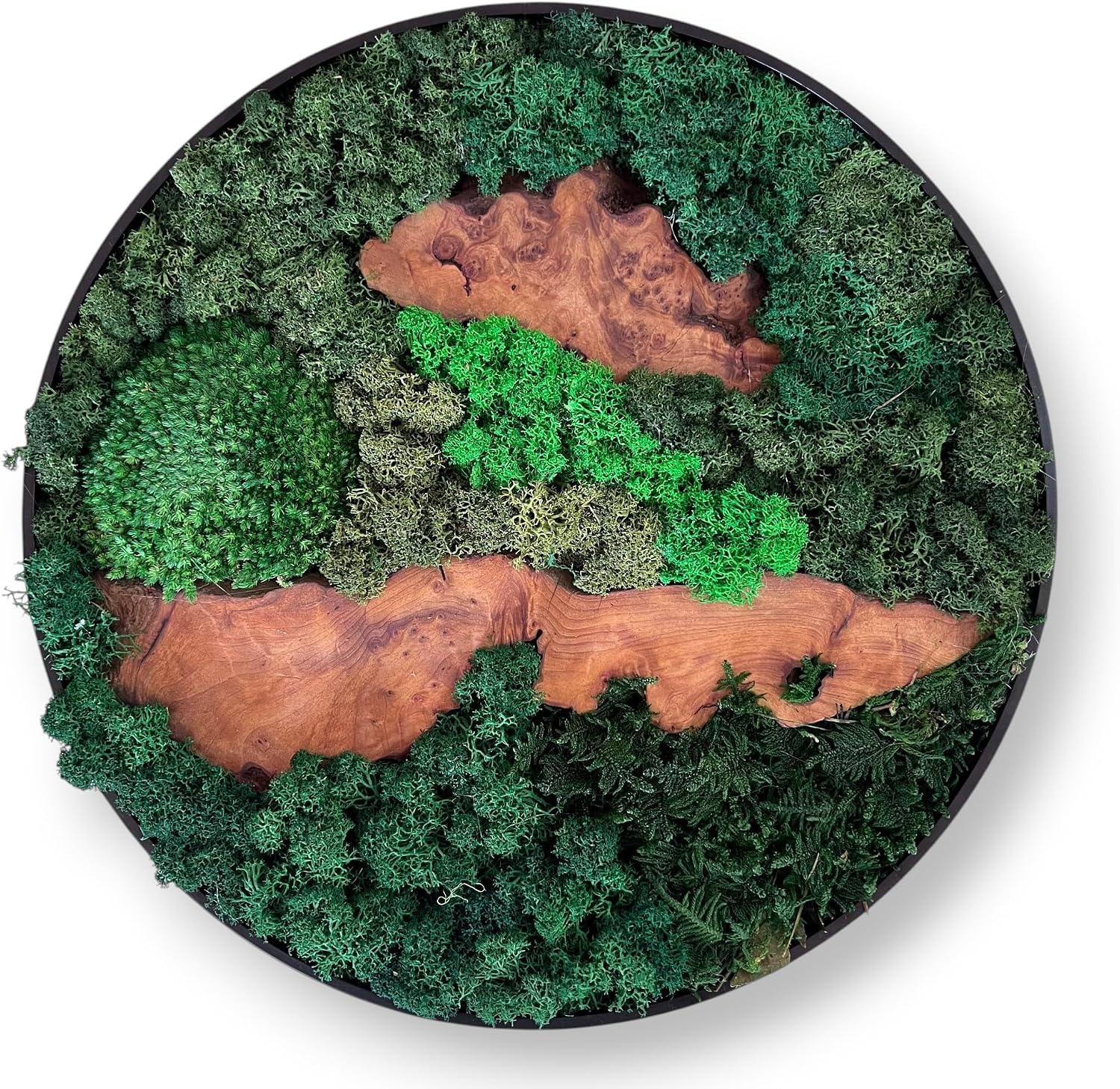 Serenzy 12" Round Cedar & Preserved Moss Wall Art | Unique No-Maintenance Decor for Home, Office, Restaurant, Irregular Linear Wood
