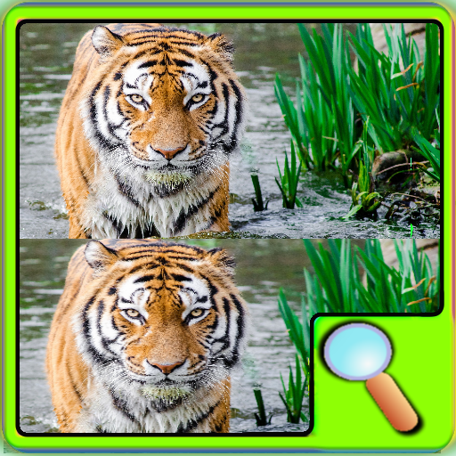 Find The Tiger Differences - App on Amazon Appstore