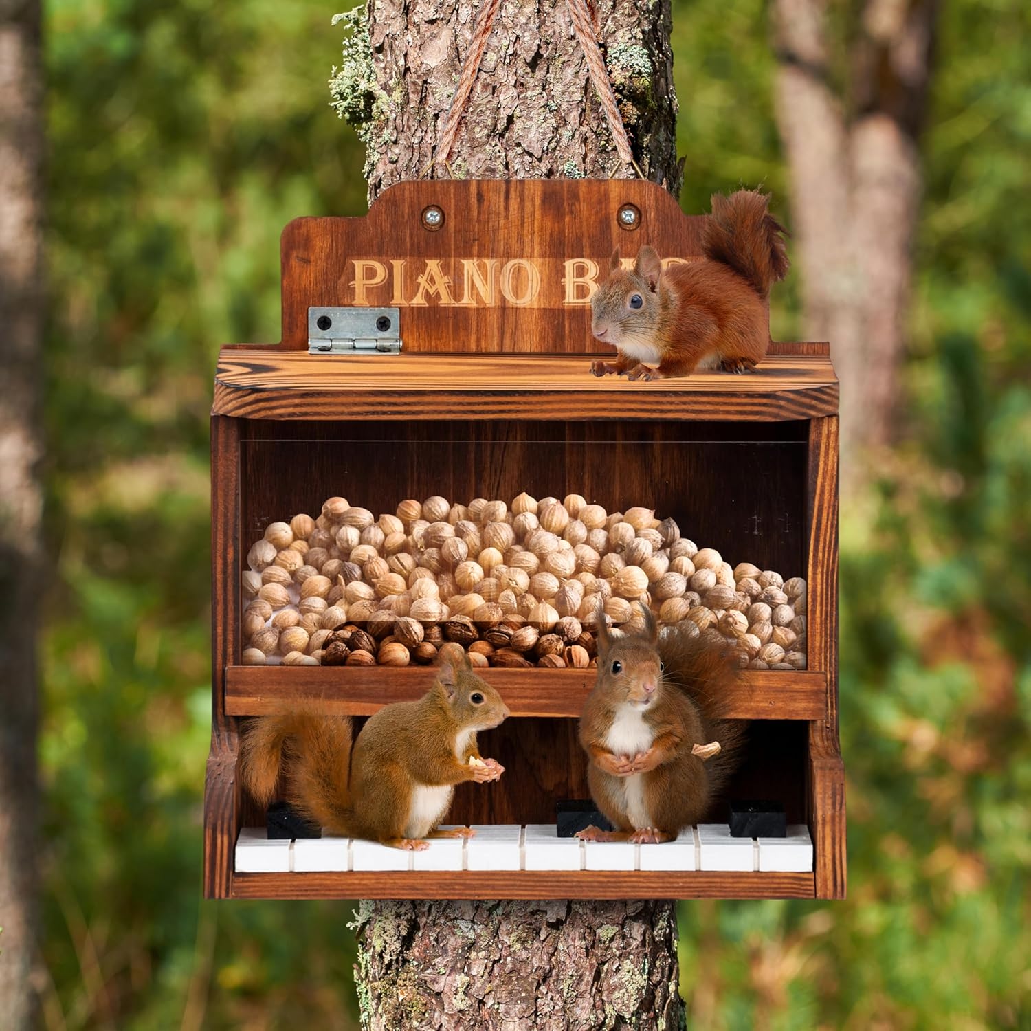 MIXUMON Wooden Squirrel Feeders Outdoor – Piano Bar Squirrel Feeder with Piano-Key Perch, Seed & Nut Feeder for Outdoor Garden, Weather-Resistant Wooden Squirrel Feeding Station
