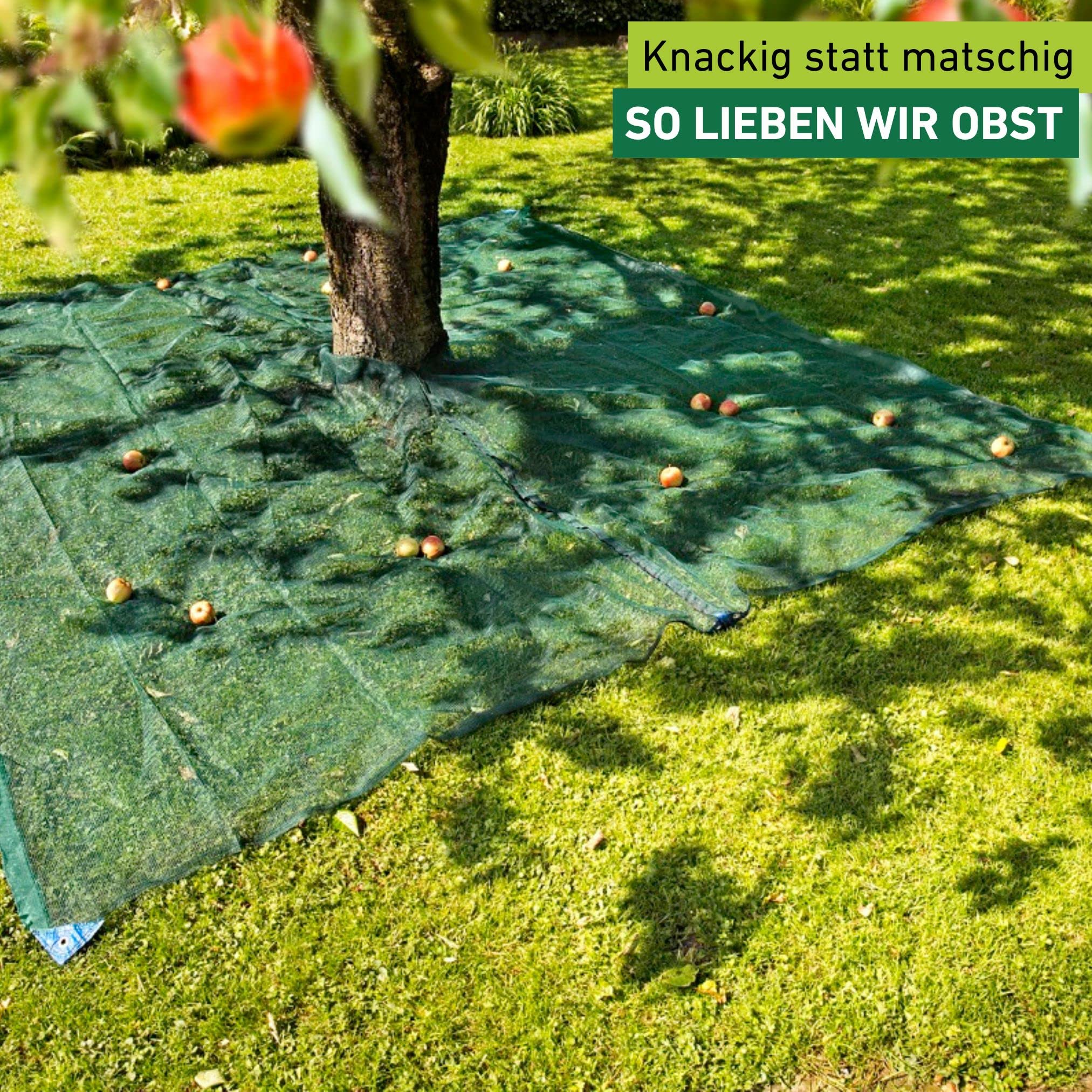 Windhager Erntenetz für Obstbäume, 4 x 4 m, Auffangnetz, Gartennetz, Erntehelfer, Dunkelgrün, 06020