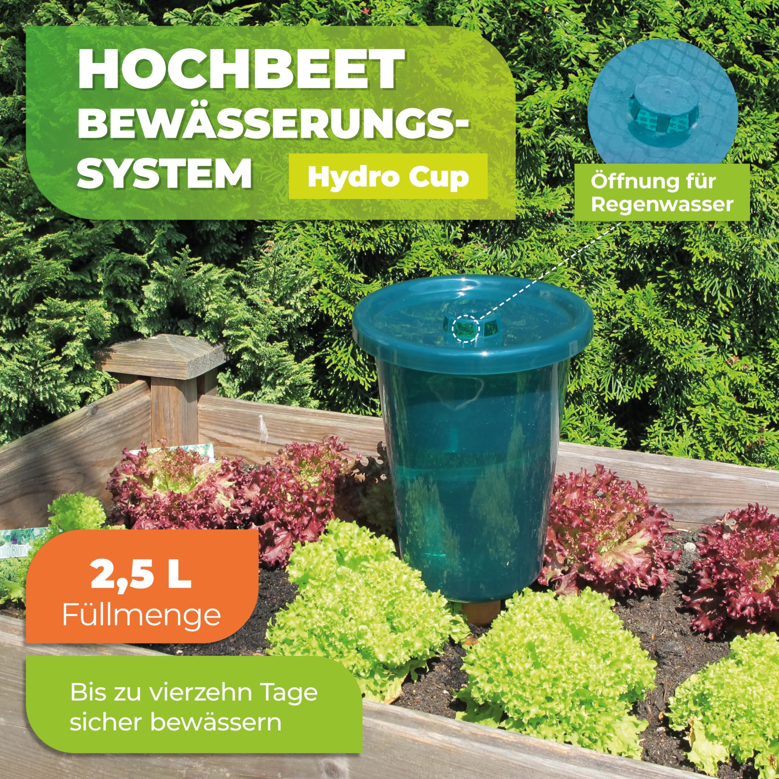 Bio Green 4er-Set Bewässerungssystem für Hochbeete Hydro Cup | konstante, gleichmäßige Wasserversorgung | verhindert Übergießen und Austrocknen | Set aus 4 Tonkegeln und 4 Becheraufsätzen | 2,5 Liter