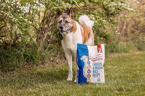 Miniatura 2 de Tender & True Alimento para perros con receta de pollo y arroz integral sin antibióticos, 11 libras