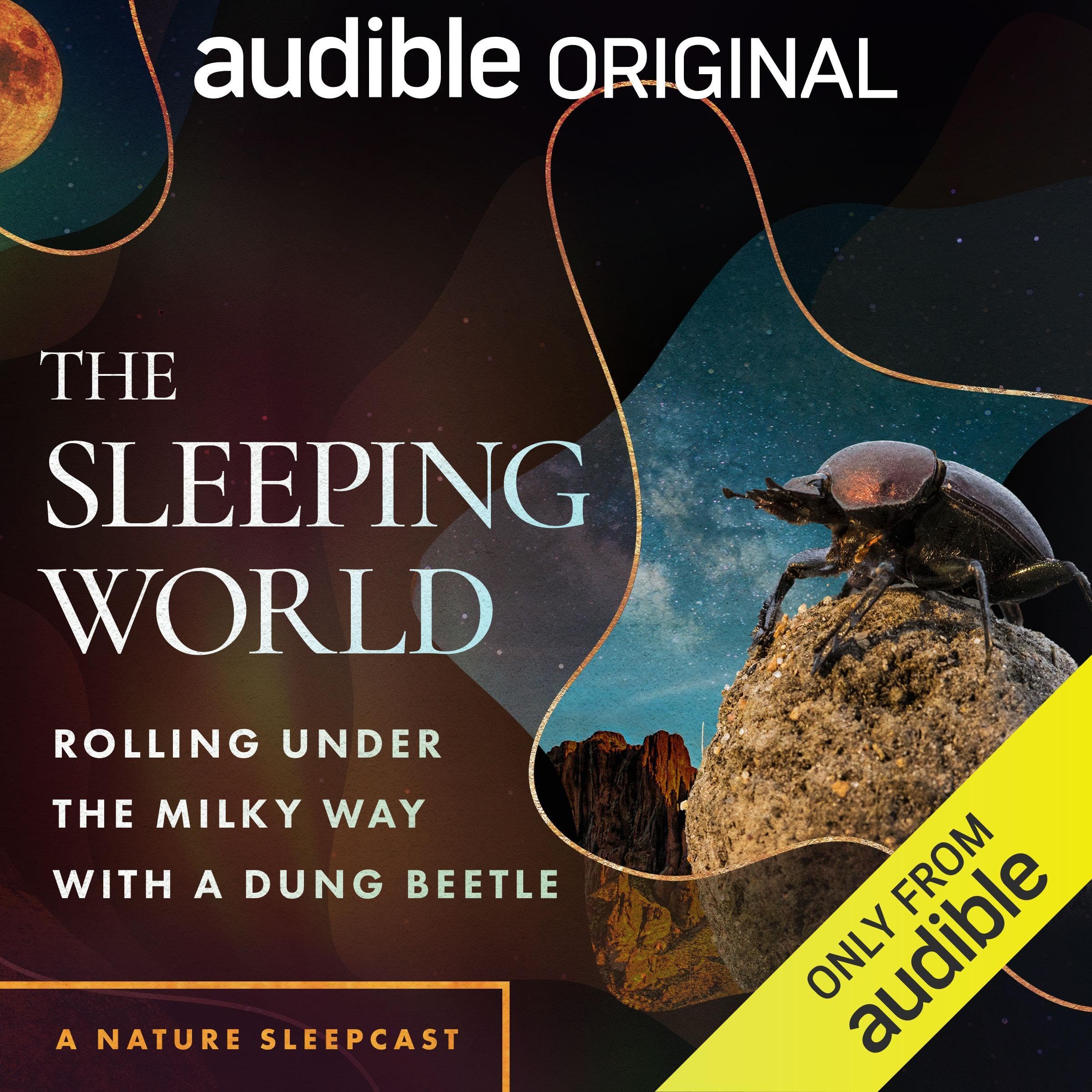The Sleeping World: Rolling Under the Milky Way with a Dung Beetle