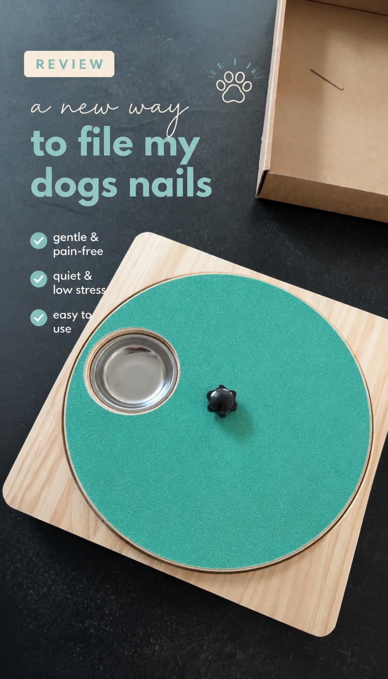 Watch Why Vets LOVE This Wooden Nail File Trick on Amazon Live