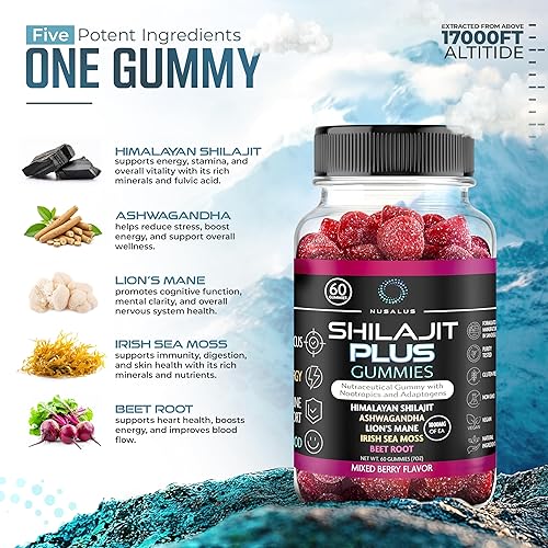 Miniatura 2 de Gomitas Shilajit Plus Shilajit del Himalaya con Ashwaganda, melena de león, musgo marino irlandés y raíz de remolacha