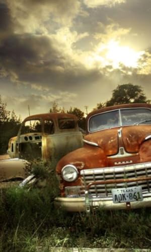 Abandoned Car Photos – vue 4