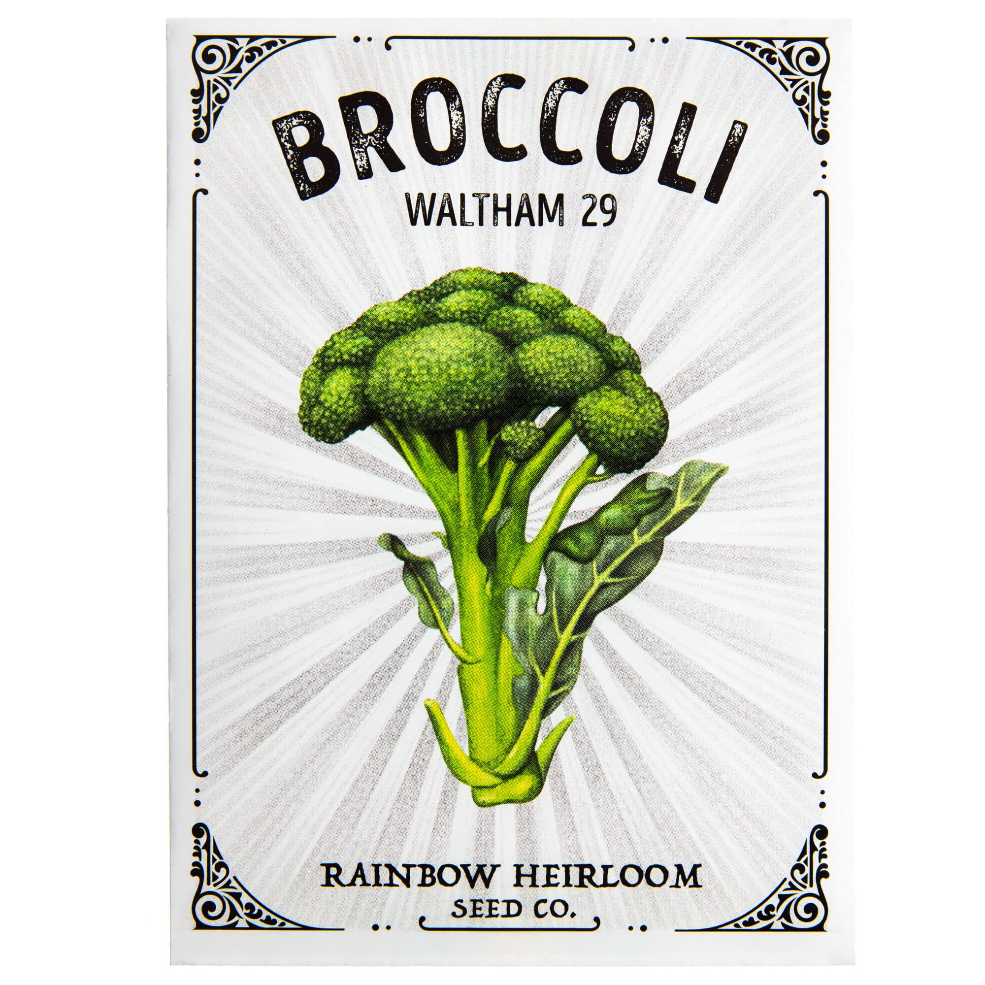 Amazon.com : Broccoli Seeds for Planting | Waltham 29 Variety (2g