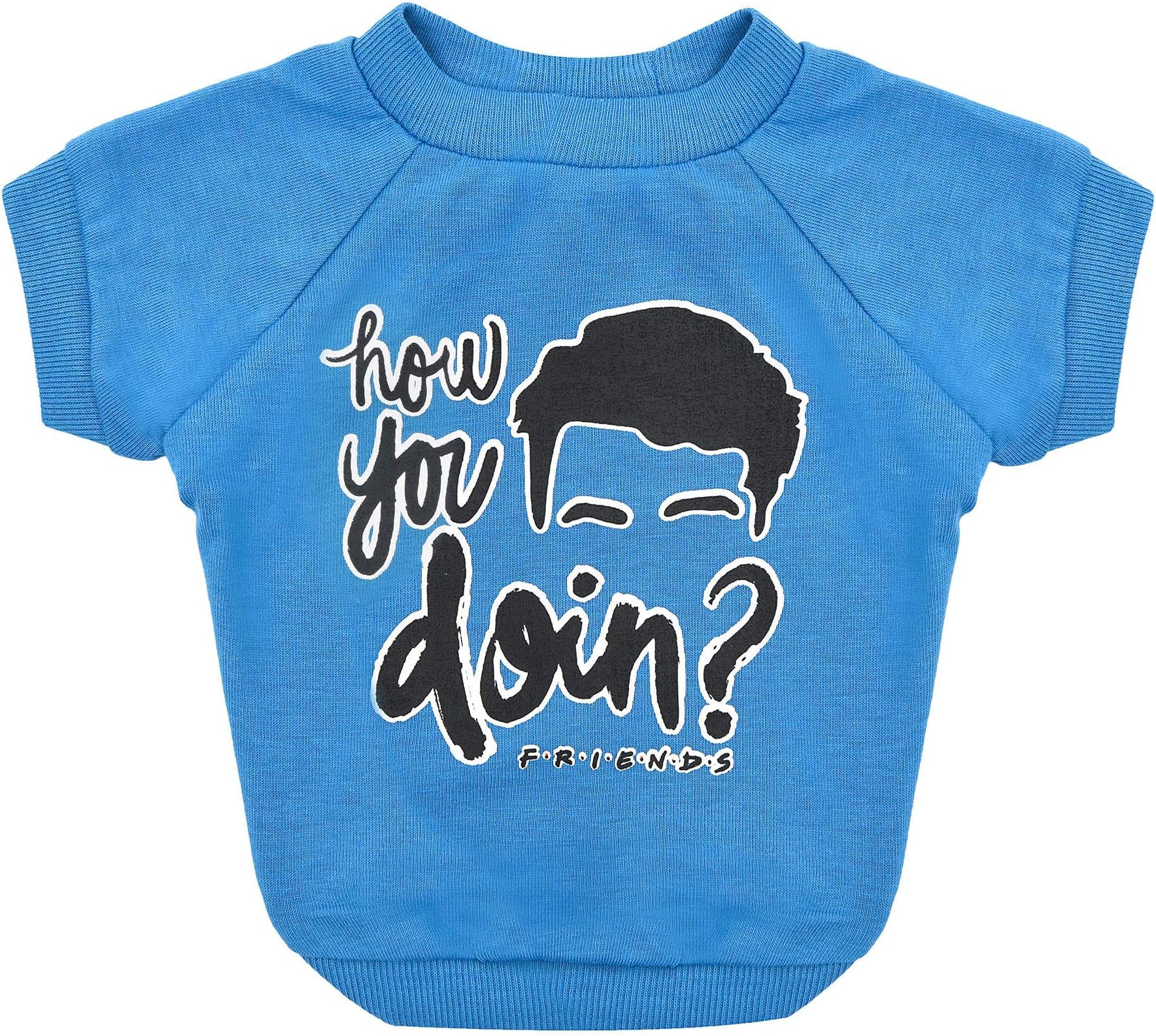 Friends The TV Show How You Doin' Dog T-Shirt in Blue | Soft, Machine Washable Sweatshirt, Light Weight & Semi-Stretch | X-Large Size Fits Large & Extra Large Dogs