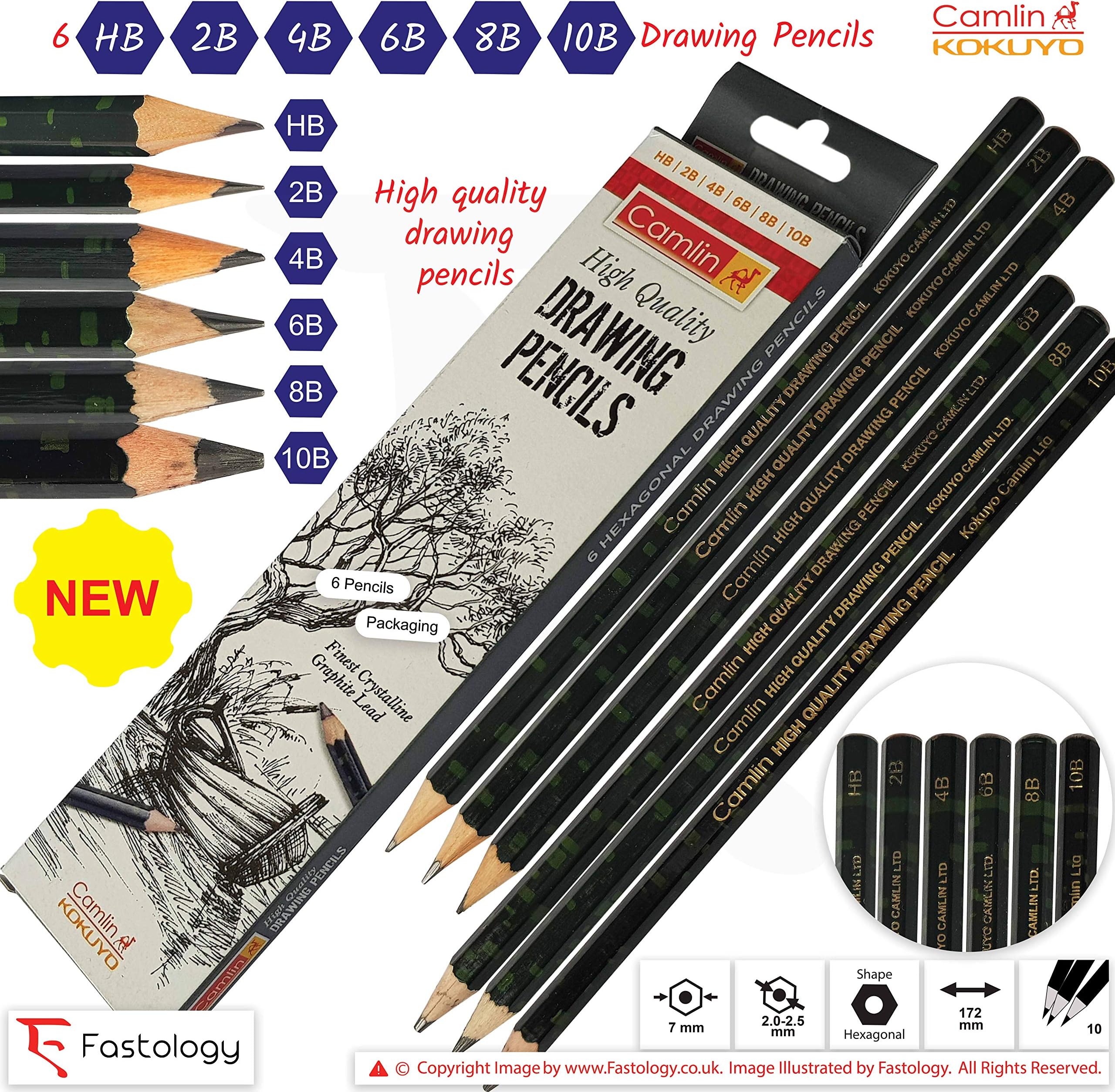 KOKUYO CAMLIN HB 2B 4B 6B 8B 10B Graded Drawing Pencils Giga Pack Finest Crystalline Graphite Lead Sketch Tone Draw Write (HB 2B 4B 6B 8B 10B Grade Pencils + 5 x PATEL Black Ball Pens)