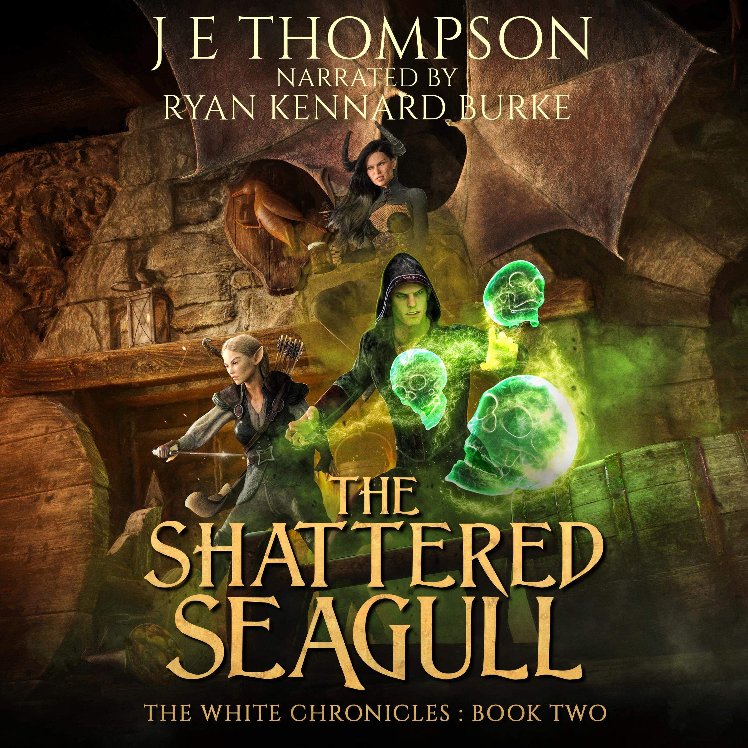 Cover art for The Shattered Seagull