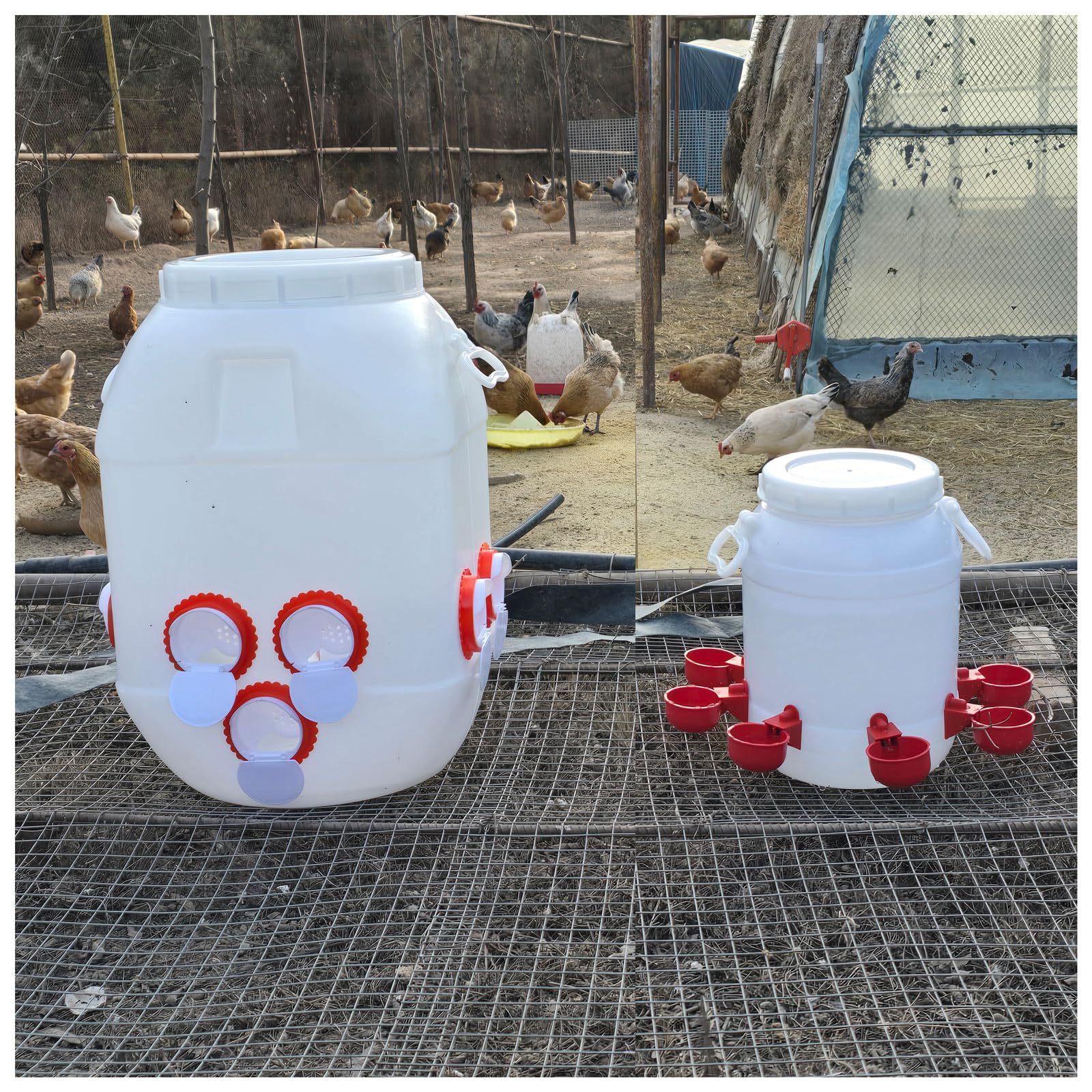 Comederos 50L(40-50KG) y Bebederos 10L Automático para Gallinas, Auto-Fill Dispensador de Agua con 8 Vasos, Comedero con 10 Orificios para Pollitos Aves de Corral(Color:Blanco)