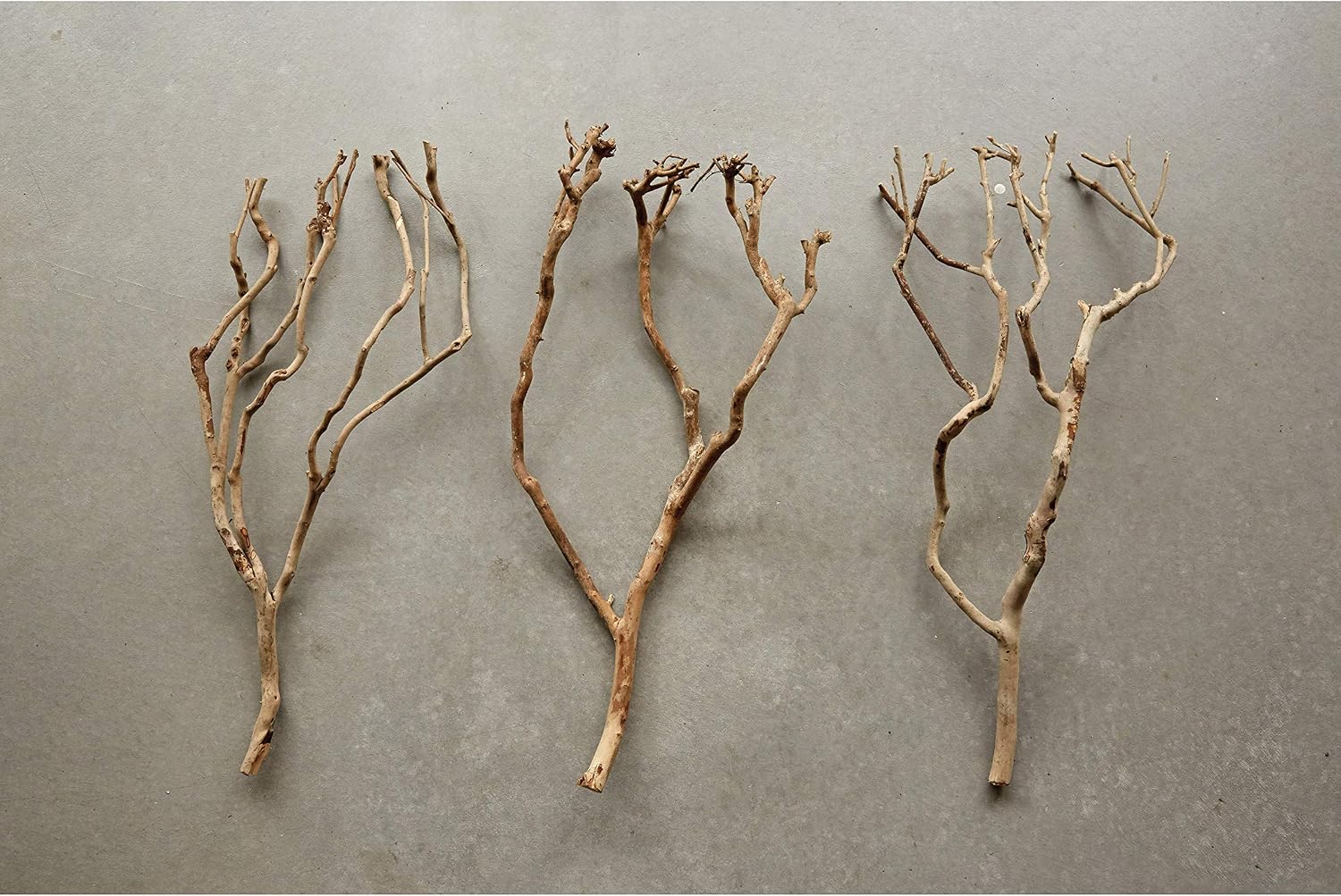 Creative Co-Op 27" Natural Tea Tree Branch Decoration (Set of 12 Pieces/Each one Will Vary)