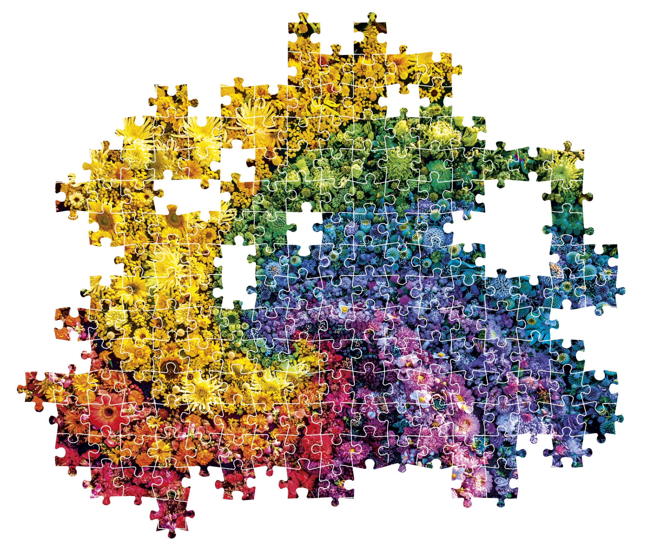 Colorboom Collection Színes kaméleonok 500db-os Compact puzzle - Clementoni vásárlás a Játékshopban Colorboom Collection Színes kaméleonok 500db-os Compact puzzle - Clementoni vásárlás a Játékshopban