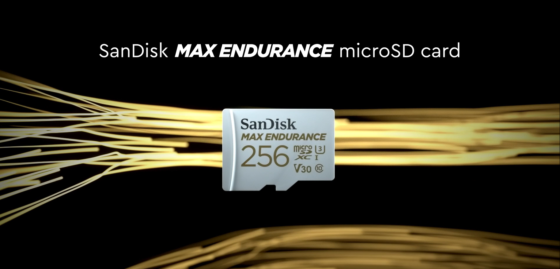 Amazon.com: SANDISK 256GB MAX Endurance microSDXC Card with 