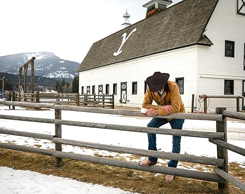 Miniatura 5 de Yellowstone Bunkhouse Café tostado medio, cápsulas reciclables de una sola porción, 100% granos arábica, 72 unidades