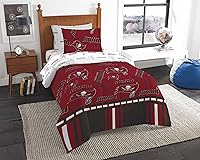 Vista 123 de Northwest NFL Unisex-Adult Bed in a Bag Set