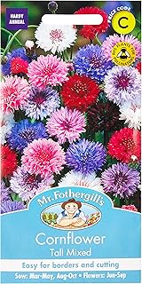 Mr Fothergill?s Seeds Ltd 11051 Mr Fothergill's Cornflower Tall Mixed