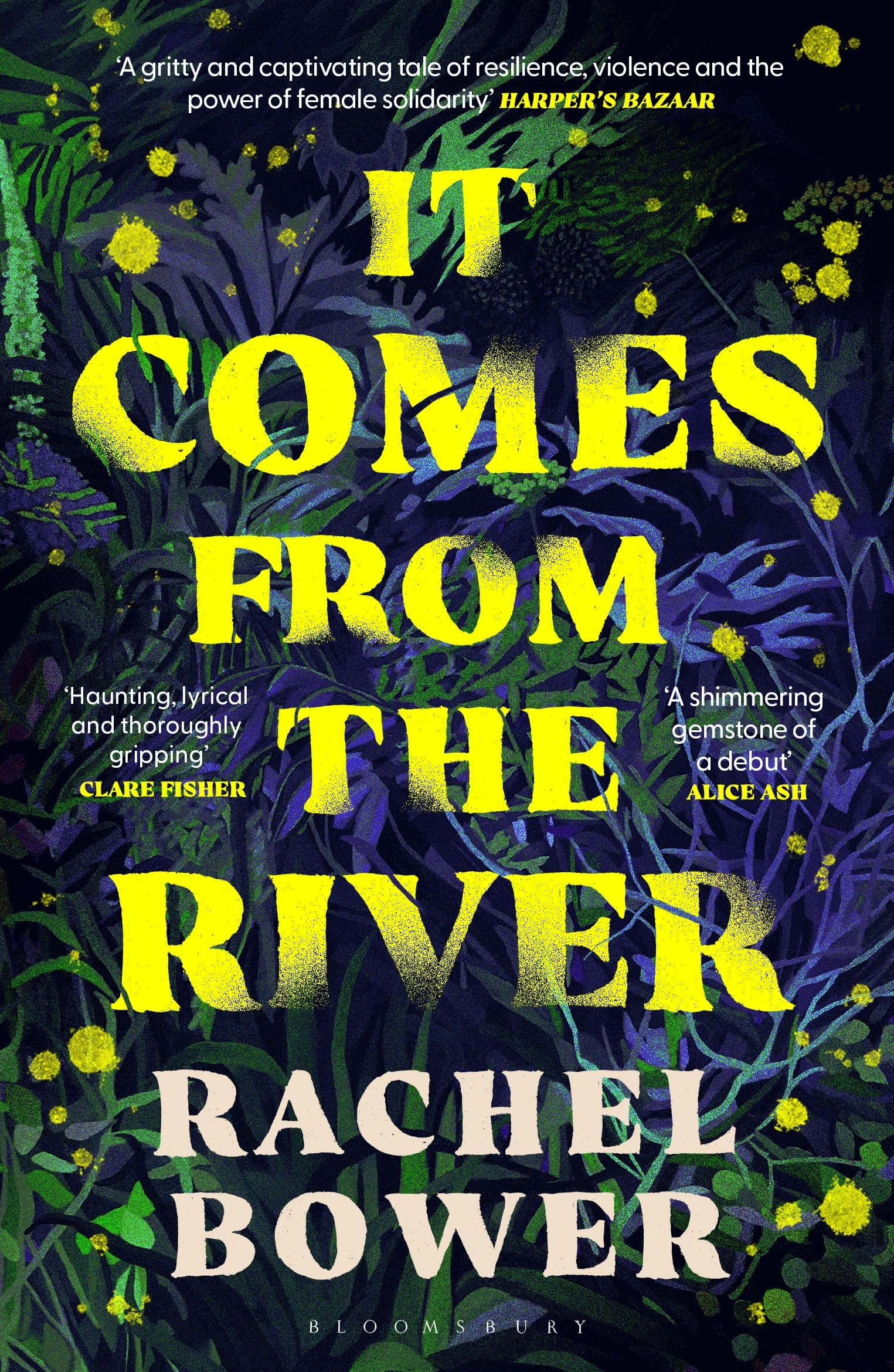 It Comes from the River by Rachel Bower (Paperback Book)