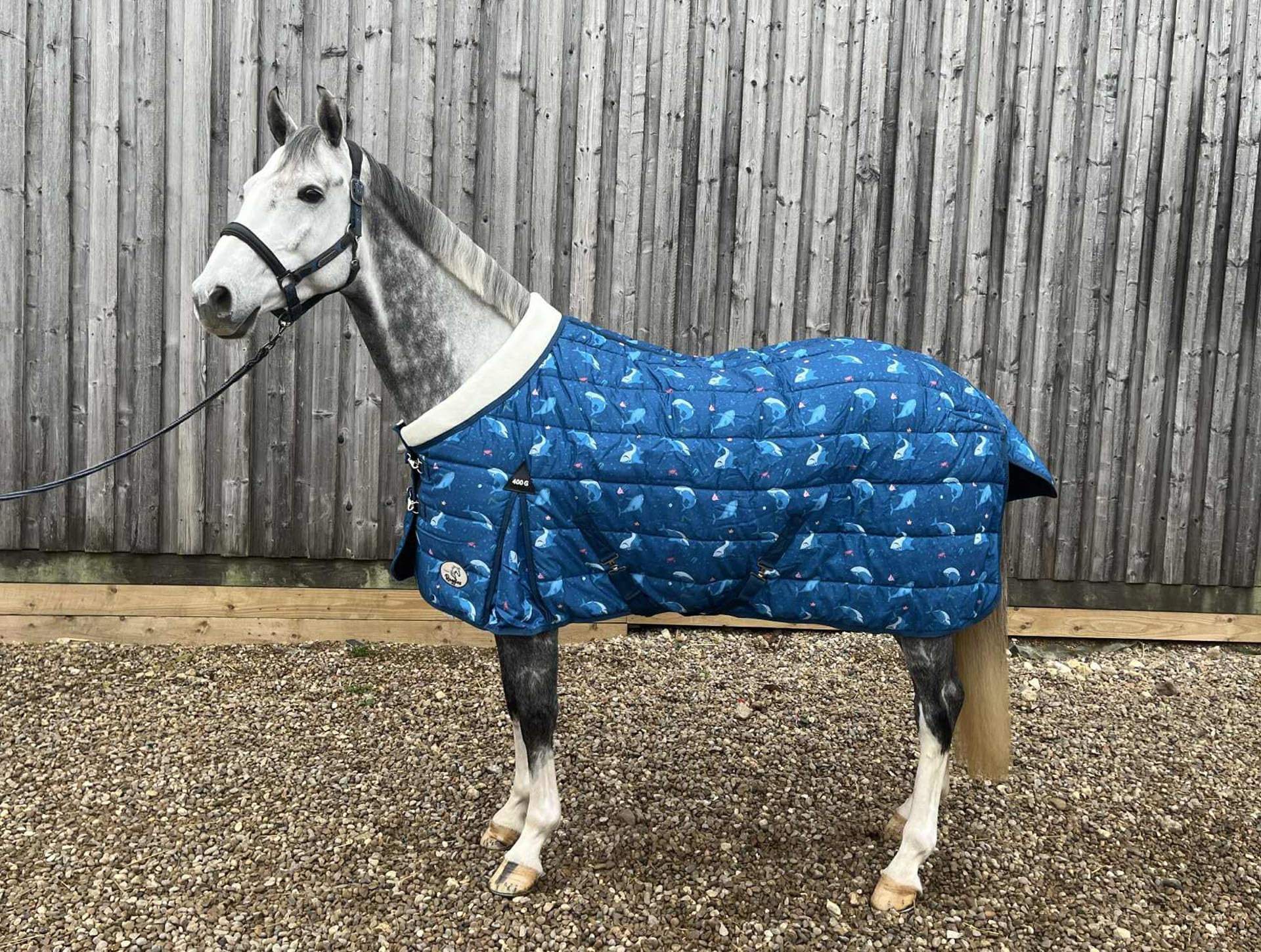 Ruggles 400g Heavyweight Stable Rug for Horse/Pony |Warm Stable Rug for colder months (Blue Shark Print, 7')
