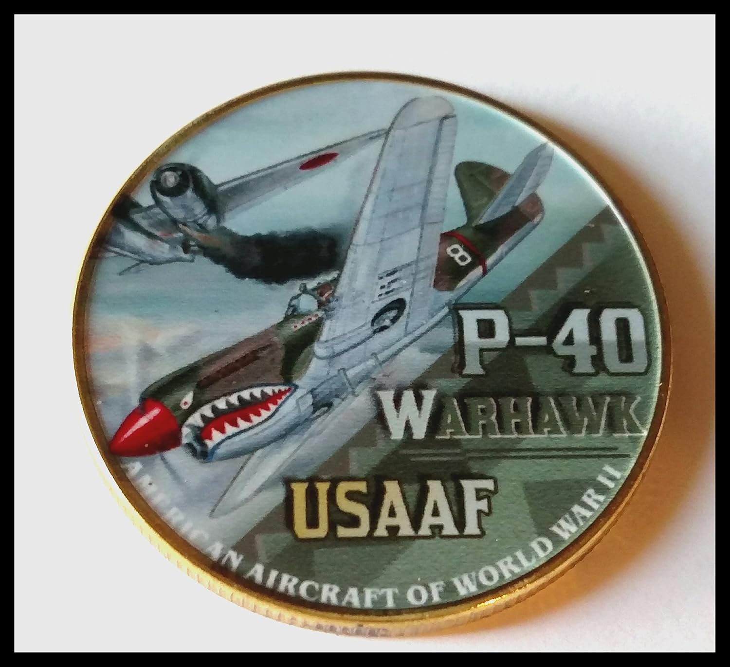 USAF Air Force P-40 Warhawk Military Colorized Challenge Art Coin