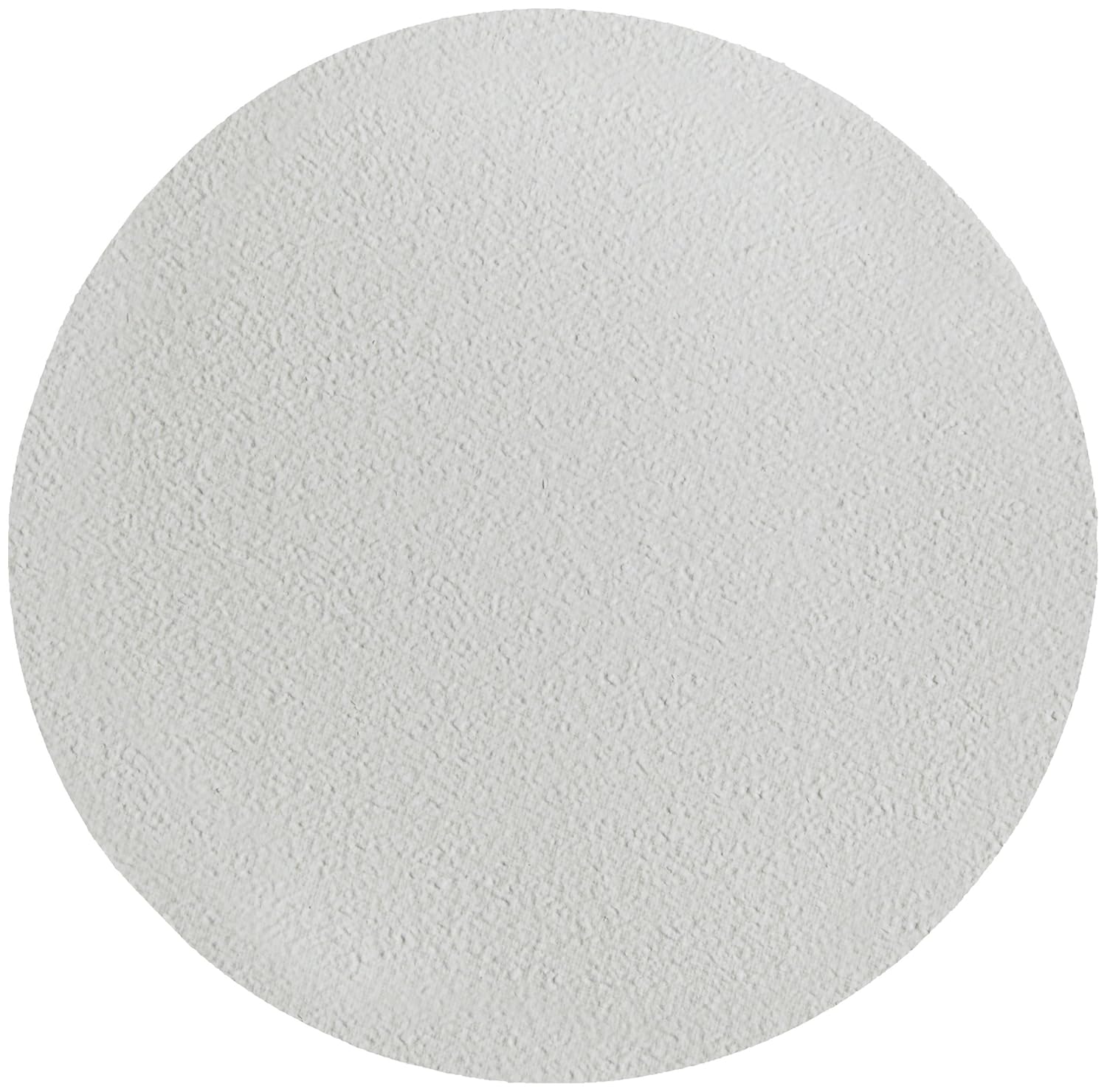 Whatman 1825-021 Glass Microfiber Binder Free Filter, 0.7 Micron, 19 s/100mL Flow Rate, Grade GF/F, 2.1cm Diameter (Pack of 100)