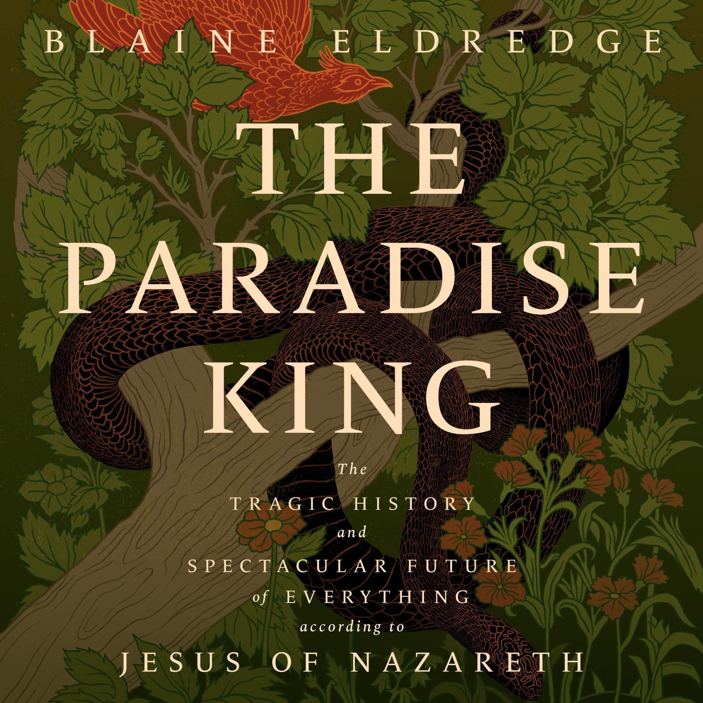 Cover art for The Paradise King